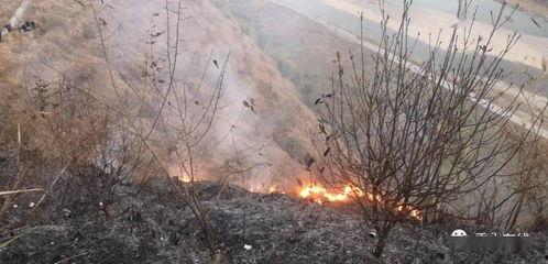 狮子山爆料视频最新,最新热点事件深度解析 第1张 狮子山爆料视频最新,最新热点事件深度解析 第1张